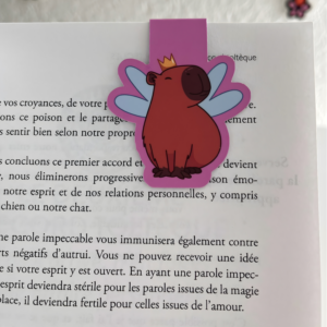 Marque-page magnétique Capybara