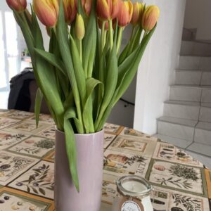 Bougie Lanterne Des Alpes