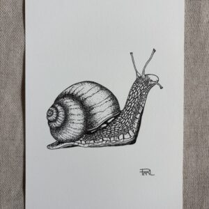 L'Escargot