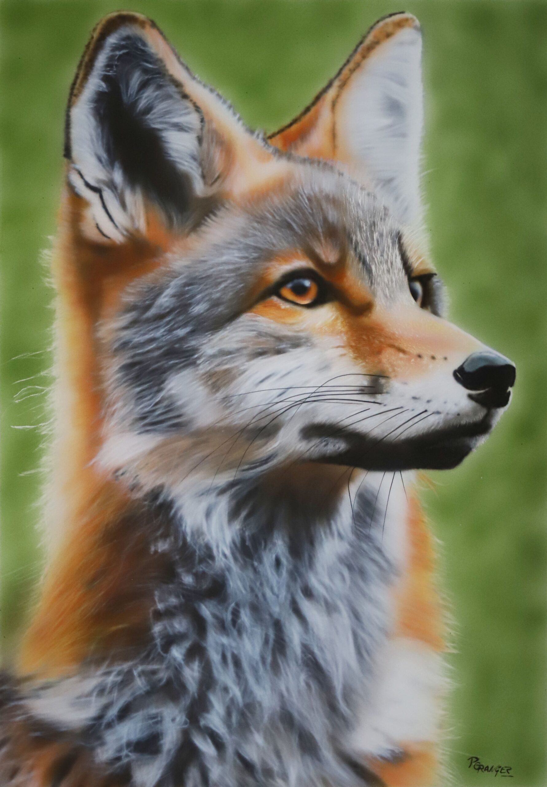 Peinture photoréaliste à l'aérographe d'un Renard de Sibérie