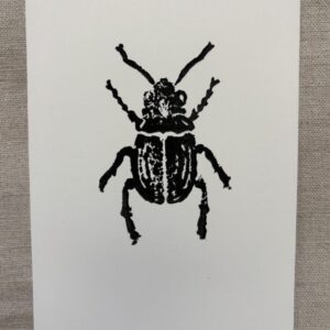 Carte A6 "Scarabée"
