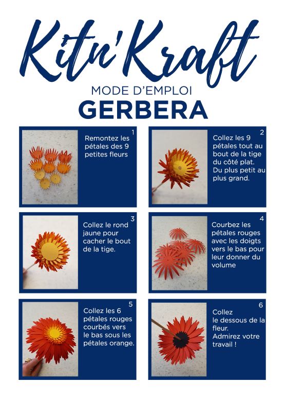 Recto mode d'emploi Gerbera