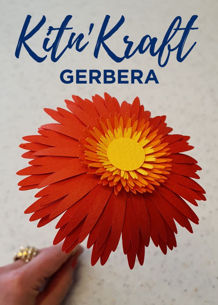 Verso mode d'emploi Gerbera