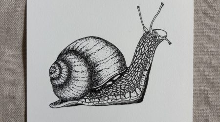 L&rsquo;Escargot