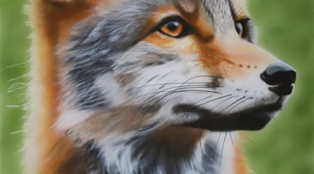 Peinture photoréaliste à l'aérographe d'un Renard de Sibérie par Pascal Granger artiste aérographiste